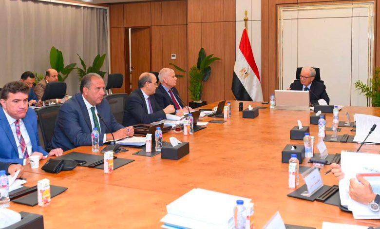 الدكتور حسين عيسي نائب رئيس الوزراء والكيميائي سعد ابو المعاطي أثناء اجتماع الجمعية العمومية للشركة القابضة للكيماويات