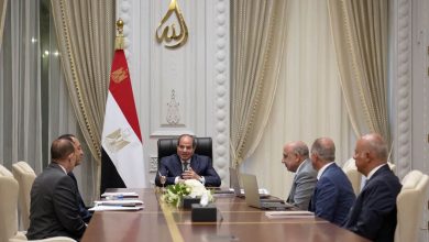 الريس السيسي خلال اجتماعه مع وزير الكهرباء