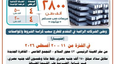الصناعة تعلن طرح 8 رخص لإنتاج خام بيليت بطاقة إنتاجية 2800 سنويا