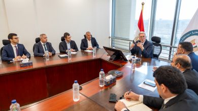 وزير البترول والثروة المعدنية