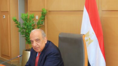 الدكتور محمود عمصت وزير الكهرباء والطاقة المتجددة