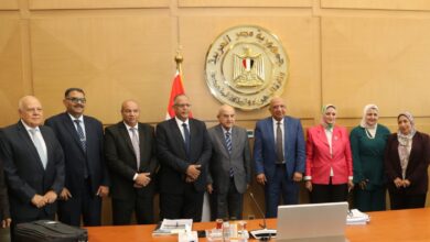 وزير الكهرباء أثناء الجمعية العمومية للشركة المصرية لنقل الكهرباء