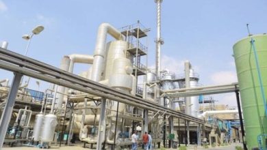 وزارة البترول ترفع إمدادات الغاز لمصانع الأسمدة