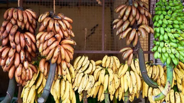 فواكه