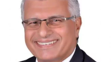 د. محمد سليم خبير الطاقة