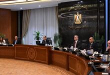 وزير البترول اثناء المائدة المستديرة بحضور رئيس الوزراء
