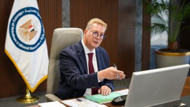 وزير البترول والثروة المعدنية