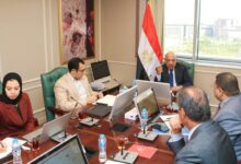 وزير الكهرباء يضع اللمسات الأخيرة «نكسوس انالاتيكا» لتحرير السوق وجذب الاستثمارات