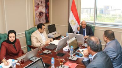 وزير الكهرباء يضع اللمسات الأخيرة «نكسوس انالاتيكا» لتحرير السوق وجذب الاستثمارات