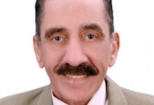 د. مدحت صبري - الخبير الاقتصادي