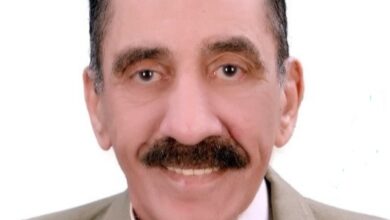 د. مدحت صبري - الخبير الاقتصادي