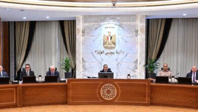 مجلس الوزراء أثناء الموافقة علي المشروعين