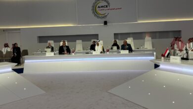 وزير الكهرباء يكشف عن رؤية مصر لتكامل شبكات الطاقة والتحول المستدام بالرياض