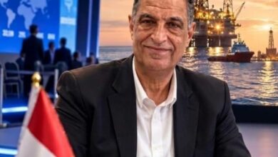 عماد حمدي منسي