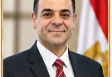 د. إبراهيم العسال استشاري التطوير المؤسسي