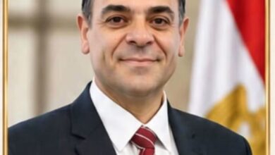 د. إبراهيم العسال استشاري التطوير المؤسسي