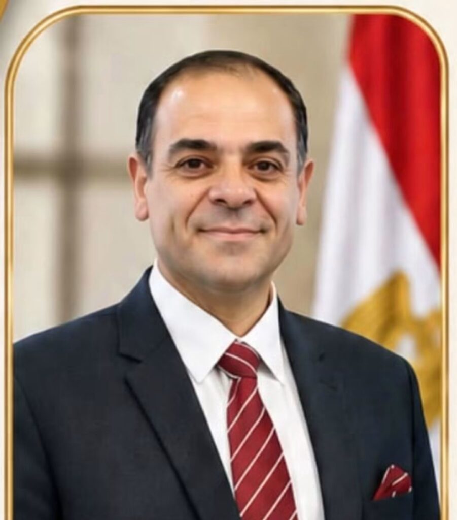 د. إبراهيم العسال استشاري التطوير المؤسسي 